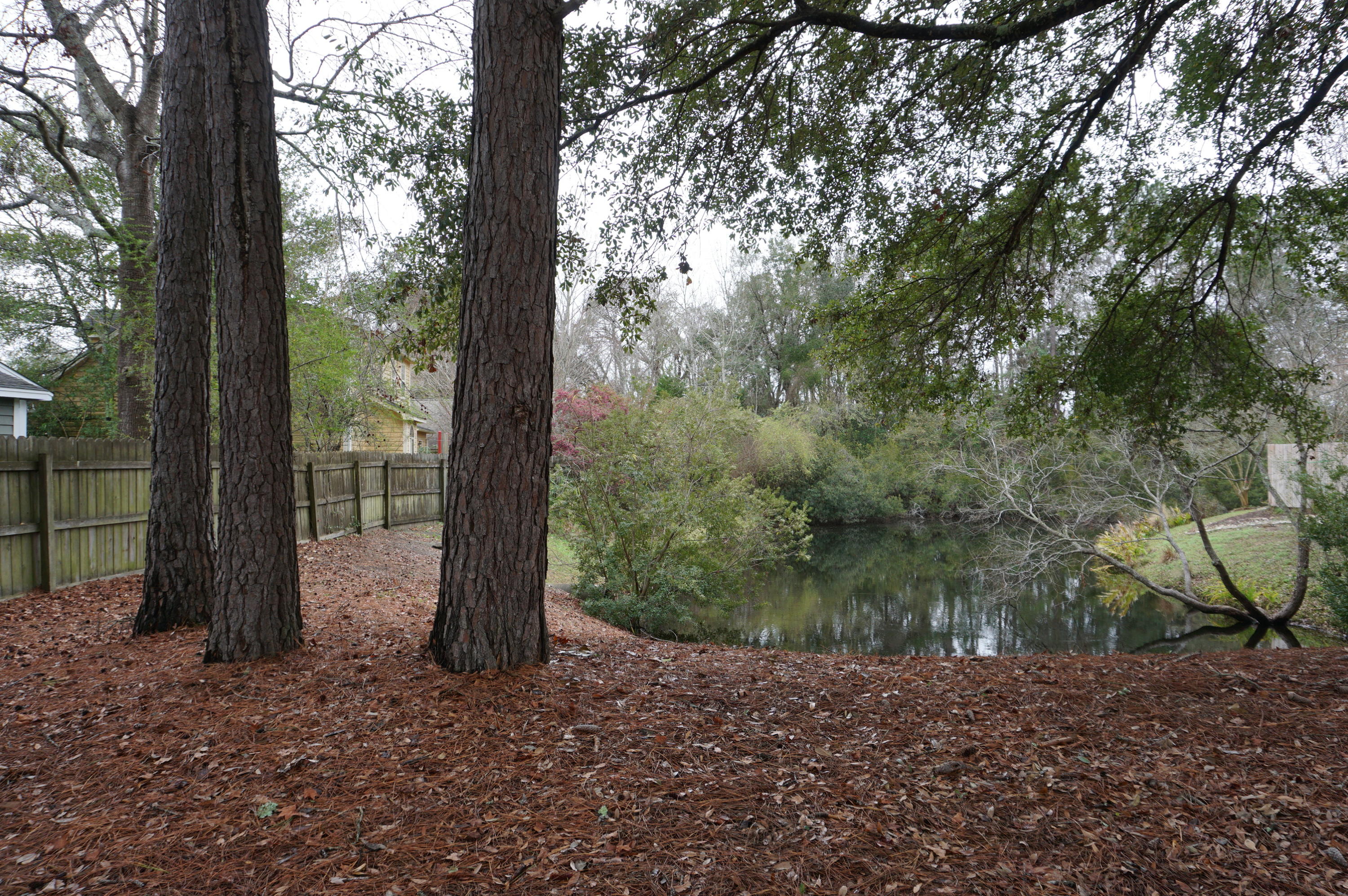 1269 Llewellyn Road Mount Pleasant, SC 29464 - Photo 32 of 32 33