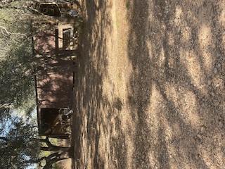 7371 Miller Creek Loop Johnson City, TX 78636 - Photo 24 of 37 a view of a yard with a tree