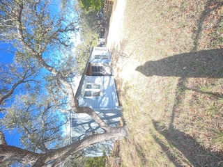 7371 Miller Creek Loop Johnson City, TX 78636 - Photo 29 of 37 a view of a yard with a tree