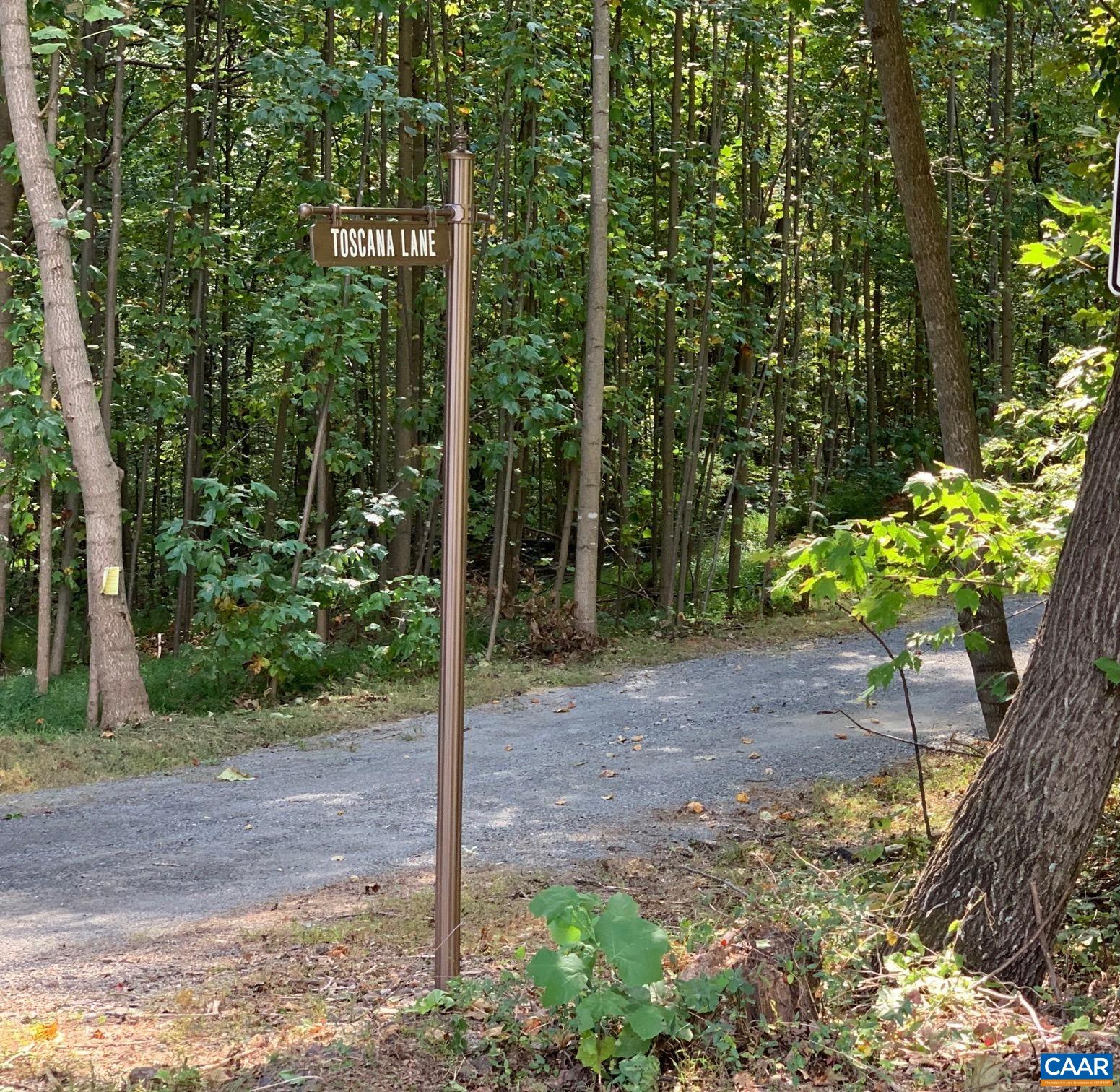 48-13o Courthouse Mountain Road Madison, VA 22727 - Photo 1 of 9 Toscana Lane