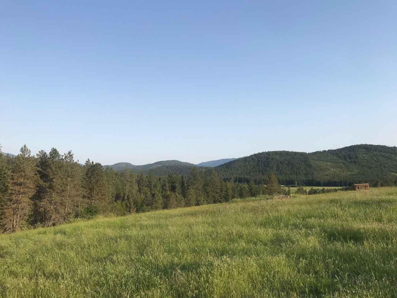 837 C Lindsay Road Colville, WA 99114 - Photo 12 of 20