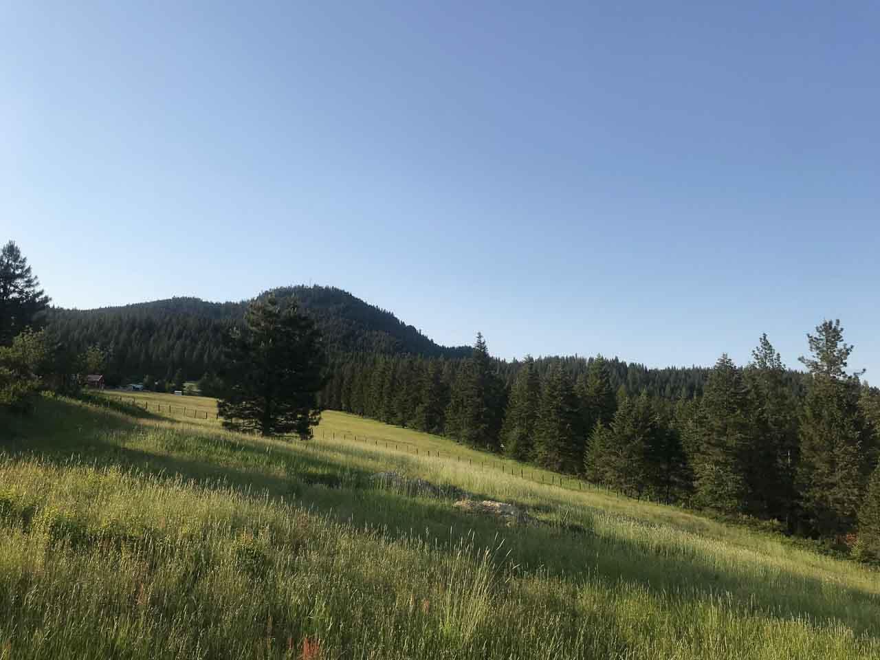 837 C Lindsay Road Colville, WA 99114 - Photo 14 of 20