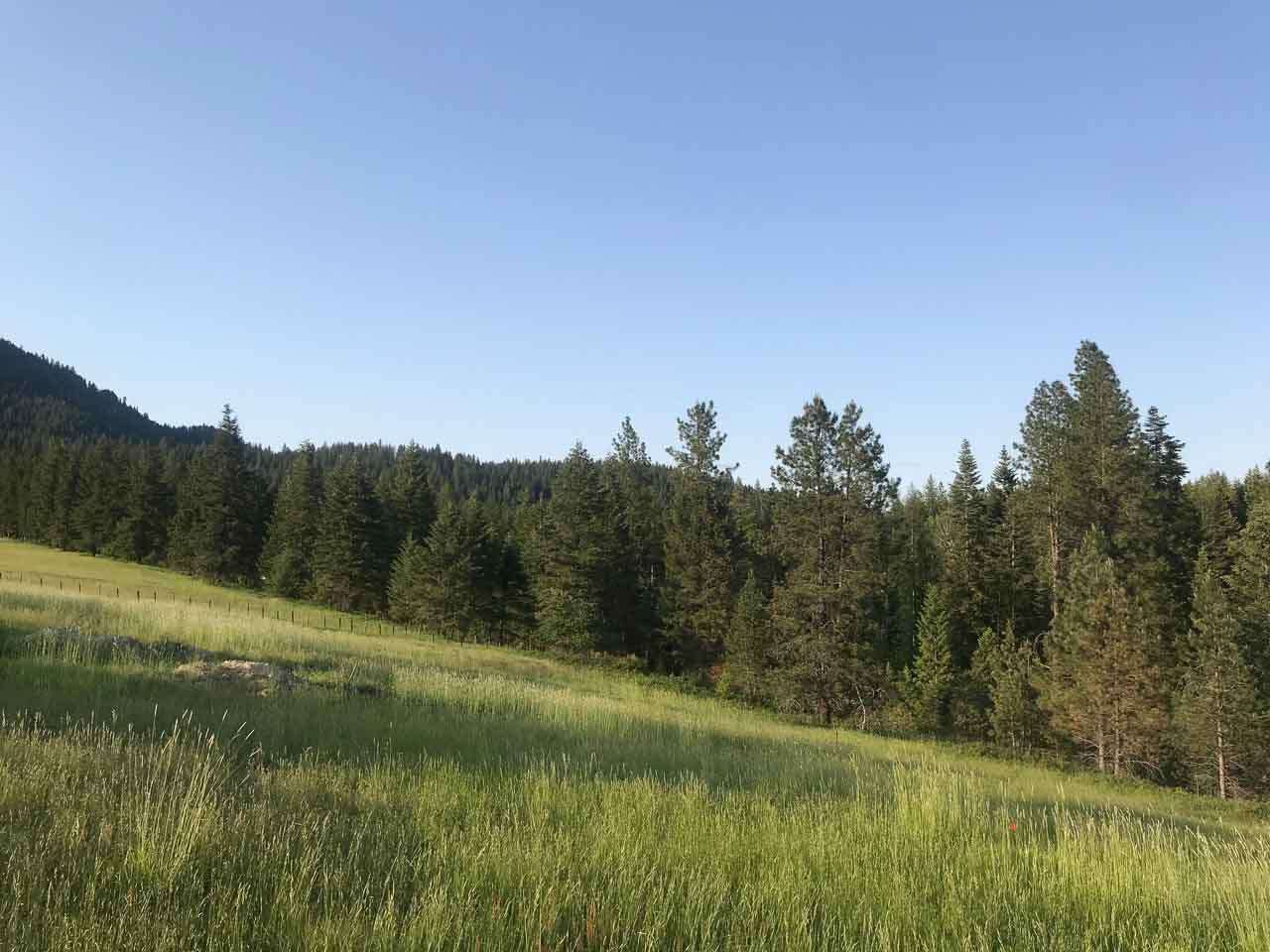 837 C Lindsay Road Colville, WA 99114 - Photo 15 of 20