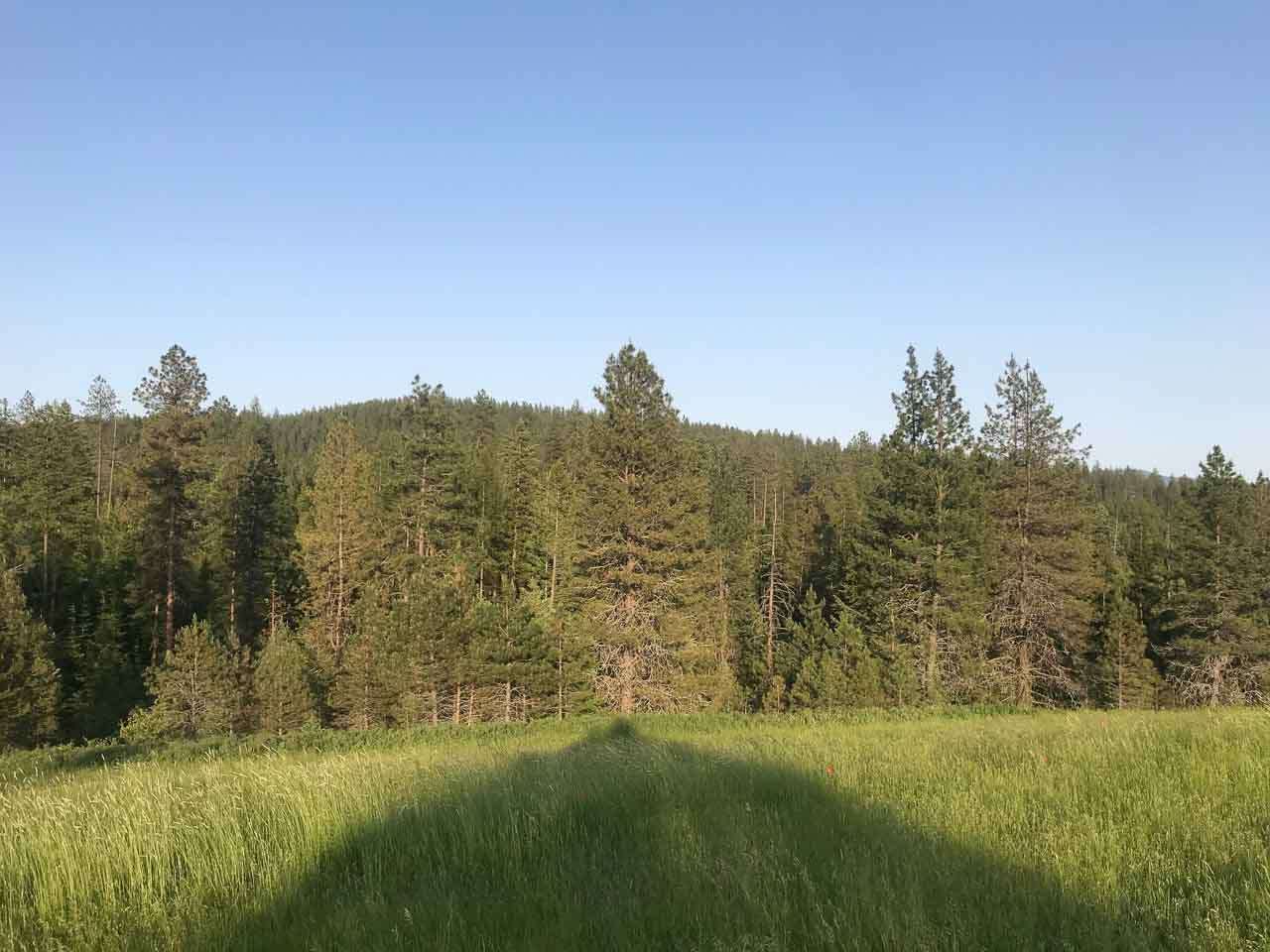 837 C Lindsay Road Colville, WA 99114 - Photo 16 of 20