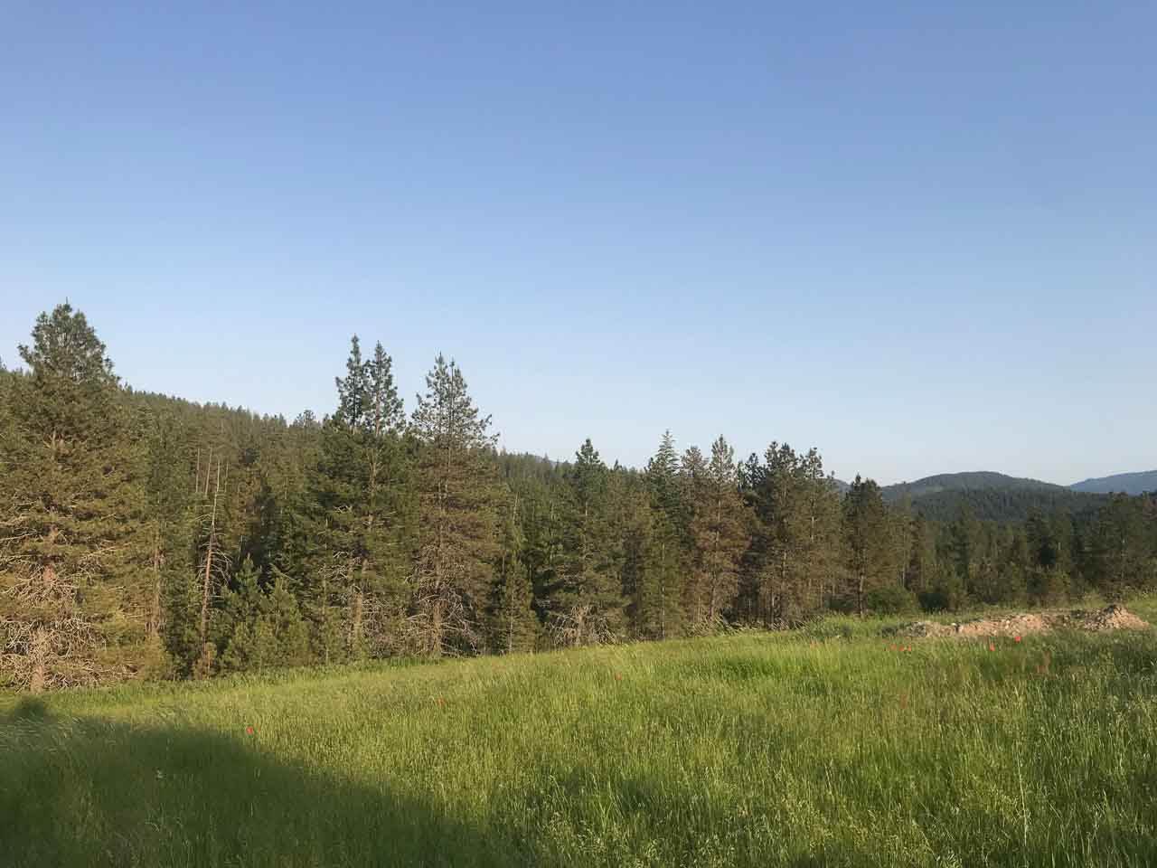 837 C Lindsay Road Colville, WA 99114 - Photo 17 of 20