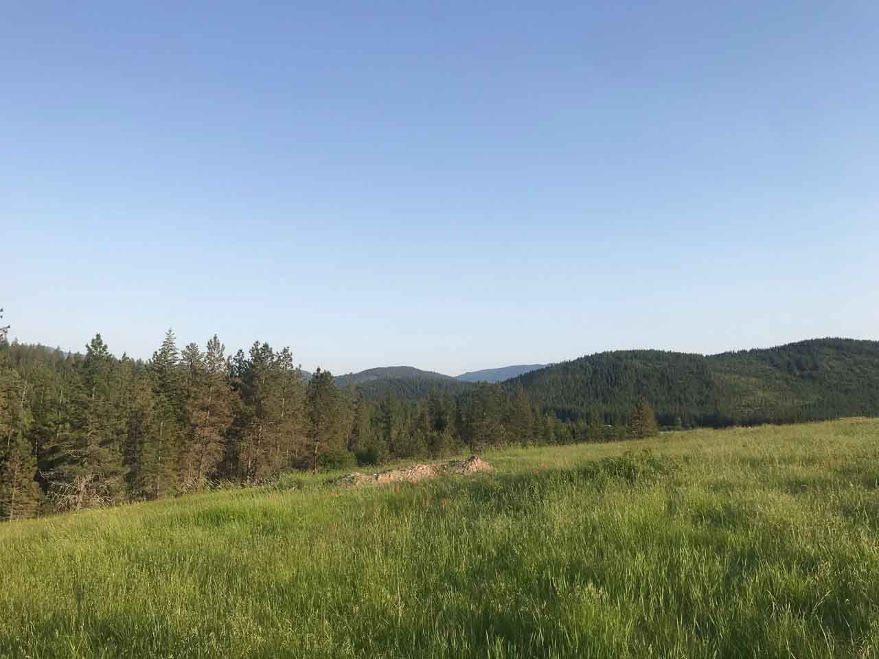 837 C Lindsay Road Colville, WA 99114 - Photo 18 of 20