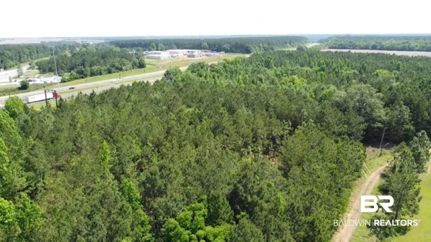 21 Highway 21 Atmore, AL 36502 - Photo 9 of 20