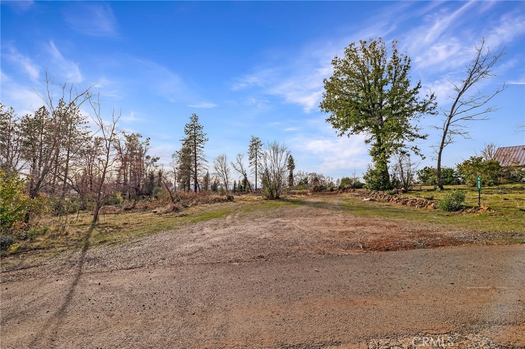 a view of dirt yard with a large tree