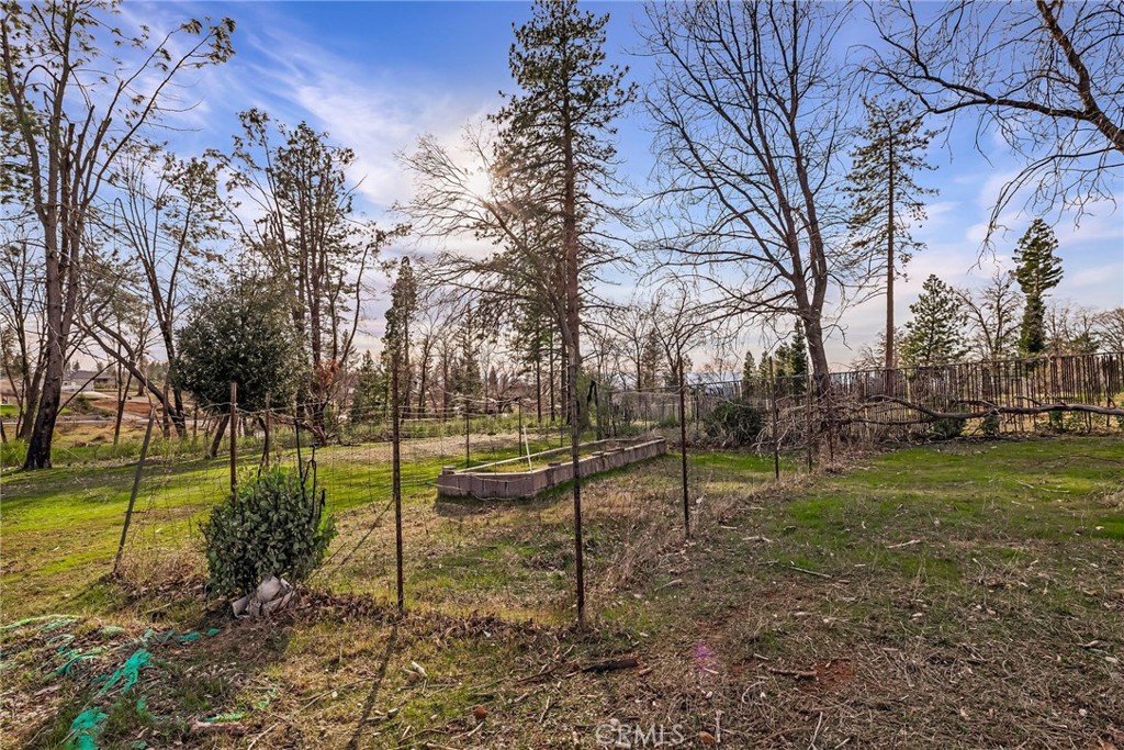6455 Graham Road Paradise, CA 95969 - Photo 11 of 32 a view of a park with large trees