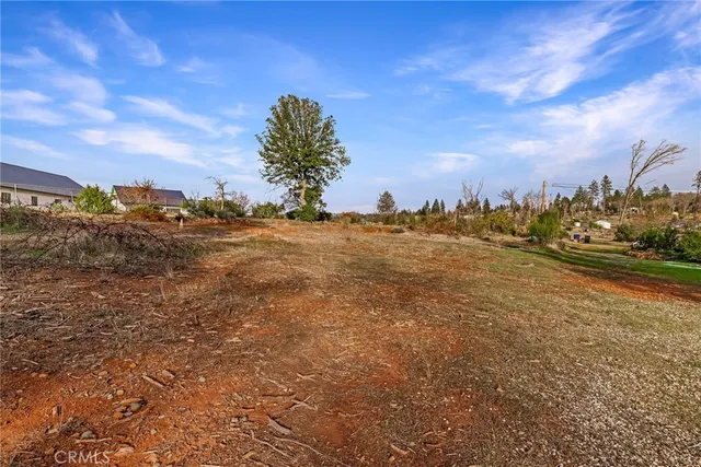 a view of a field with trees in the background