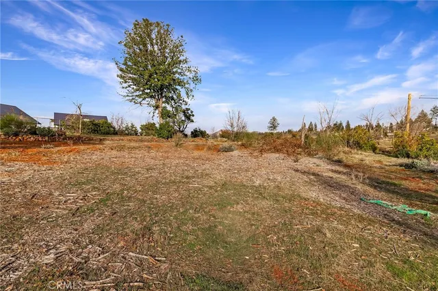 a view of a field with trees in the background