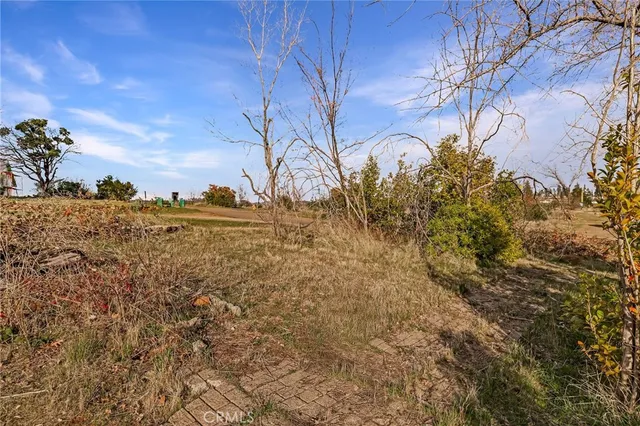 a view of a yard with trees in front of it