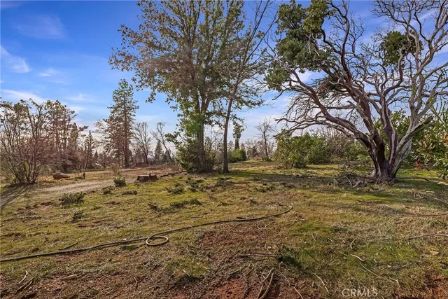 a view of yard covered with snow