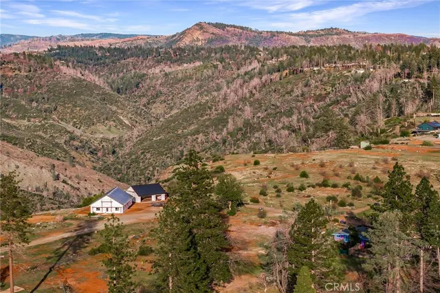 an aerial view of residential houses with outdoor space and trees