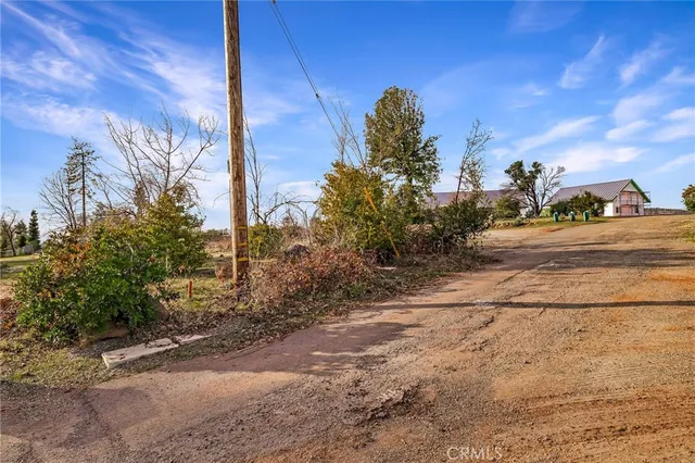 a view of a yard with plants and trees