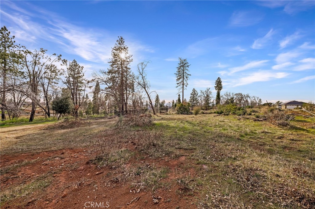 6455 Graham Road Paradise, CA 95969 - Photo 8 of 32 a view of a yard with trees