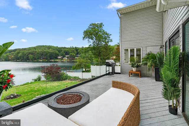 a view of a patio with plants and a garden