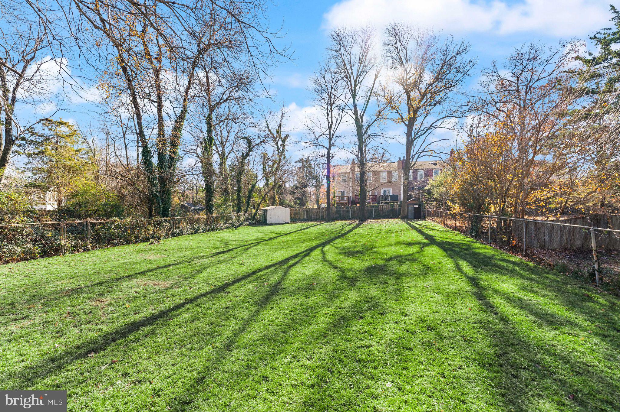 6101 Briarview Court Alexandria, VA 22310 - Photo 44 of 44 a view of a park with large trees