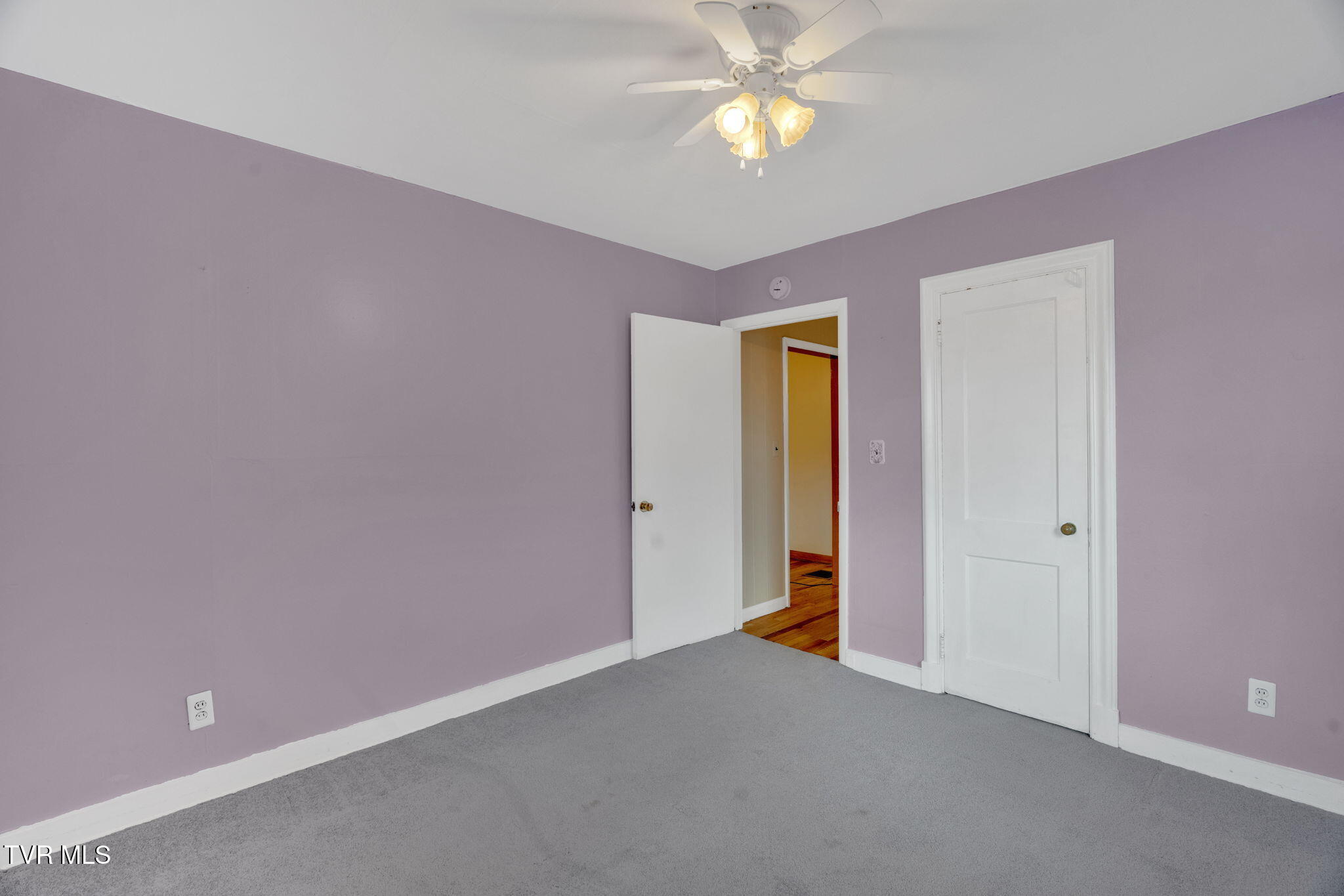 190 Browns Road Gray, TN 37615 - Photo 18 of 27 27-web-or-mls-DSC07486