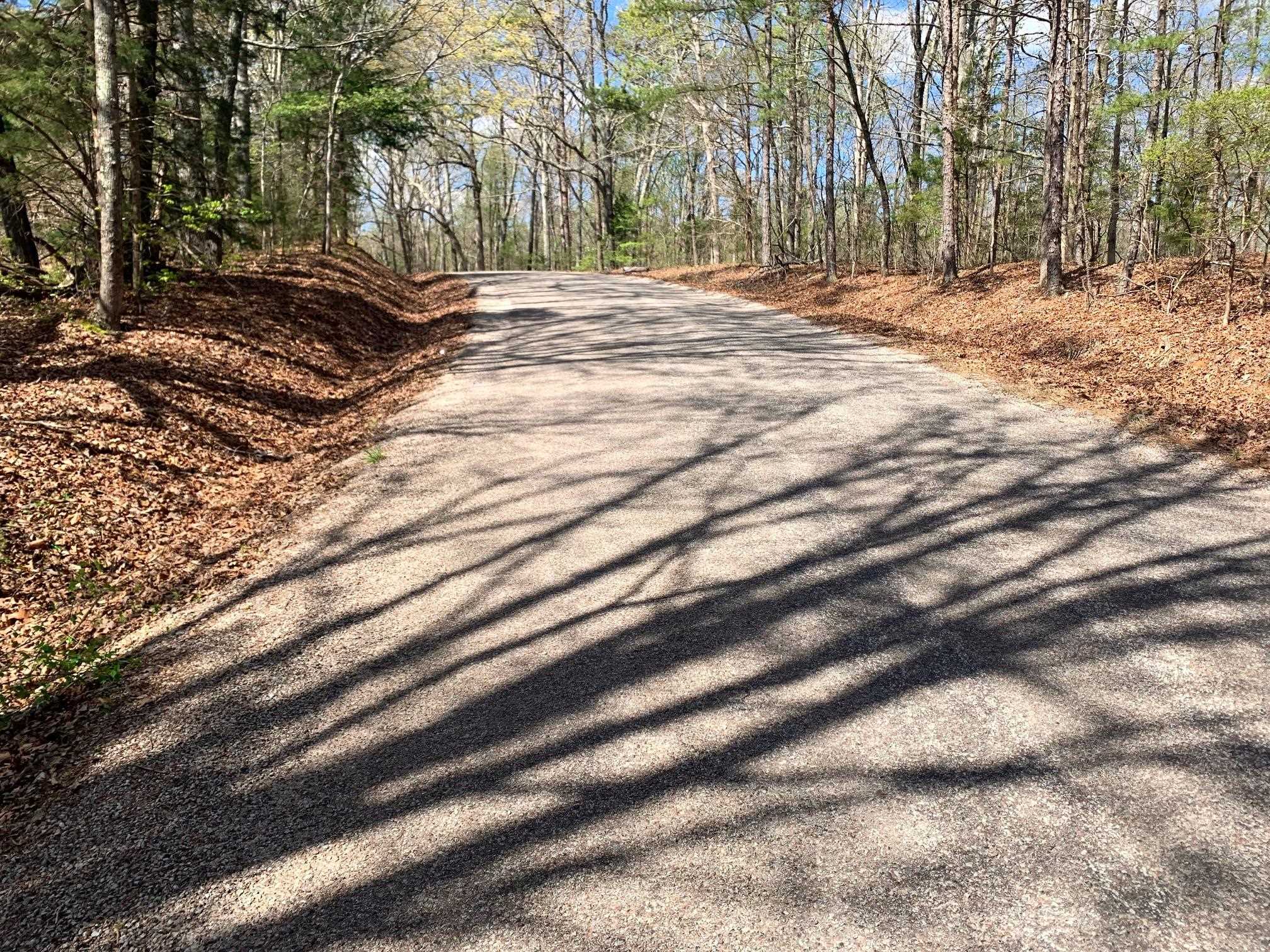 Warren Floyd Road Selmer, TN 38375 - Photo 21 of 25 Gallery Image 21