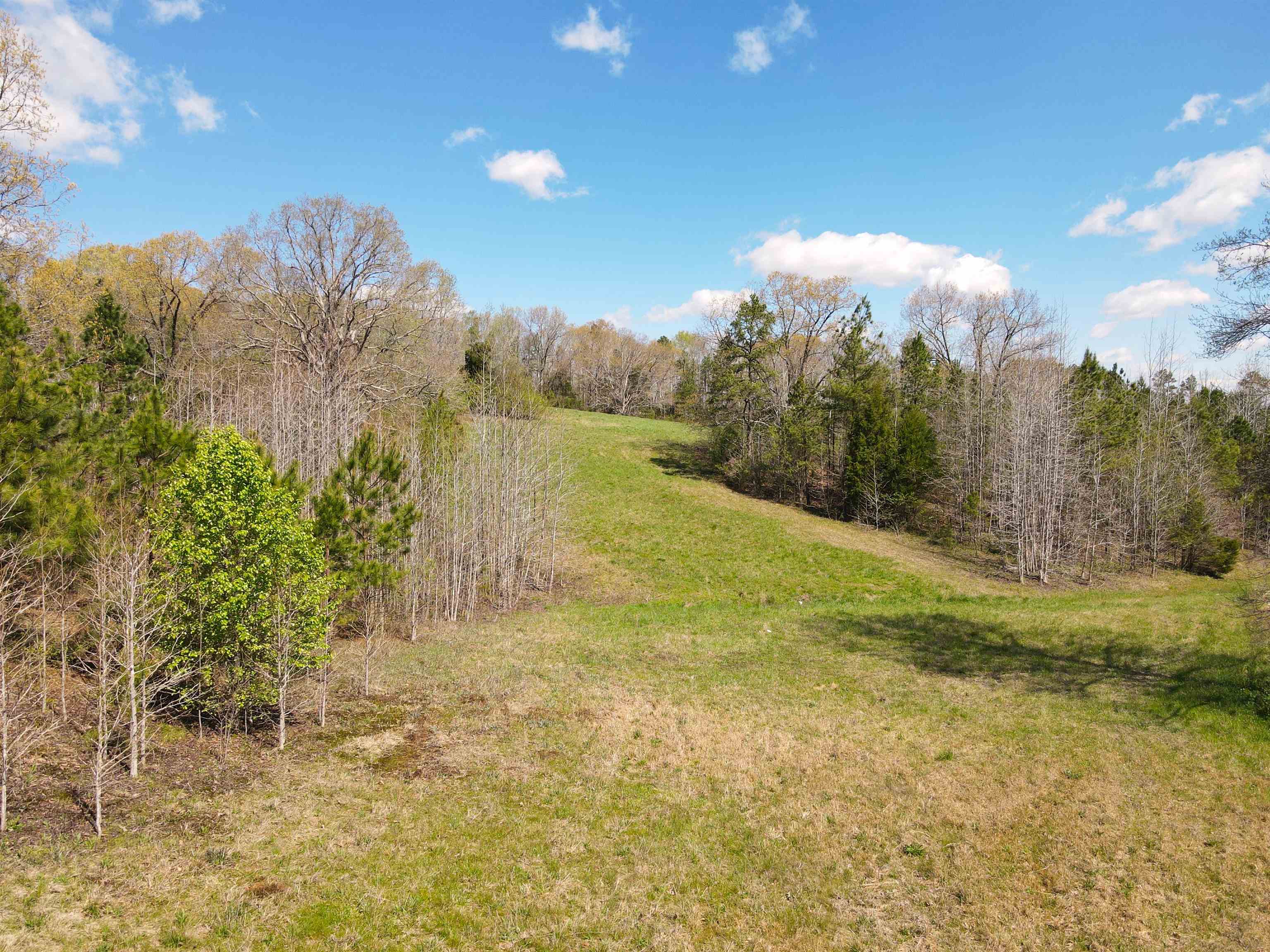Warren Floyd Road Selmer, TN 38375 - Photo 8 of 25 Gallery Image 8