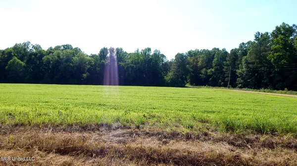 $174,900 | 519 247th Road, Unit COUNTRY, Bruce, MS 38915