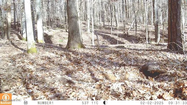 $174,900 | 519 247th Road, Unit COUNTRY, Bruce, MS 38915