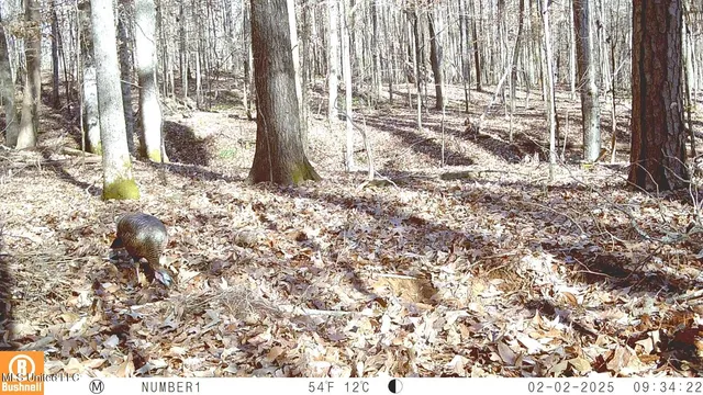 $174,900 | 519 247th Road, Unit COUNTRY, Bruce, MS 38915