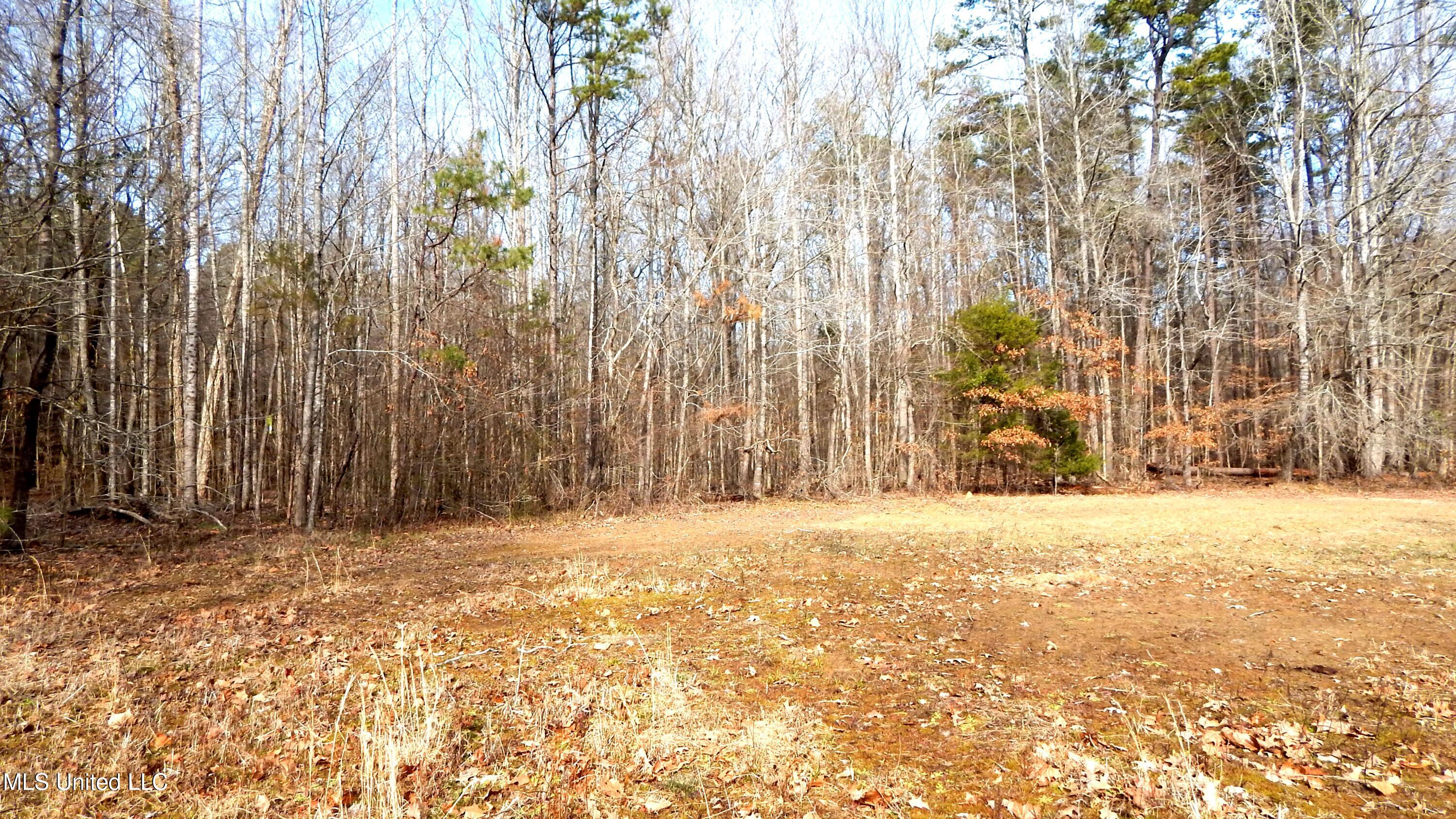 519 247th Road, Unit COUNTRY Bruce, MS 38915 - Photo 14 of 47 DSCN6557