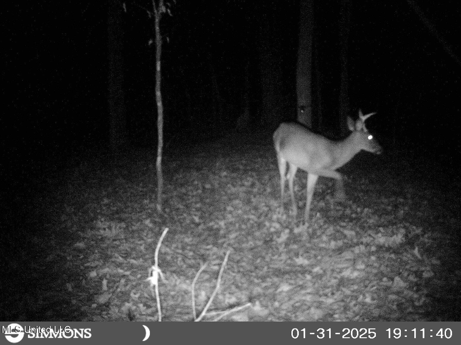 519 247th Road, Unit COUNTRY Bruce, MS 38915 - Photo 15 of 47 SUNP0007