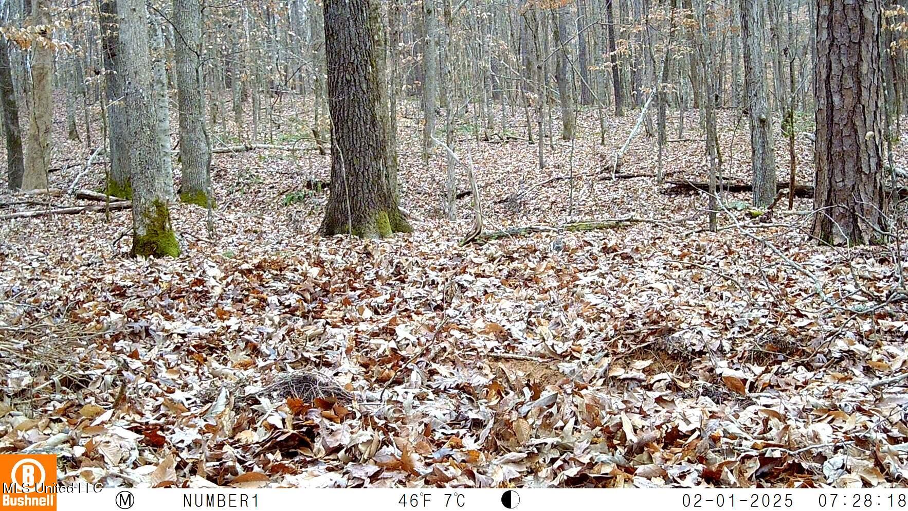 519 247th Road, Unit COUNTRY Bruce, MS 38915 - Photo 21 of 47 102_0223