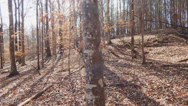 $174,900 | 519 247th Road, Unit COUNTRY, Bruce, MS 38915