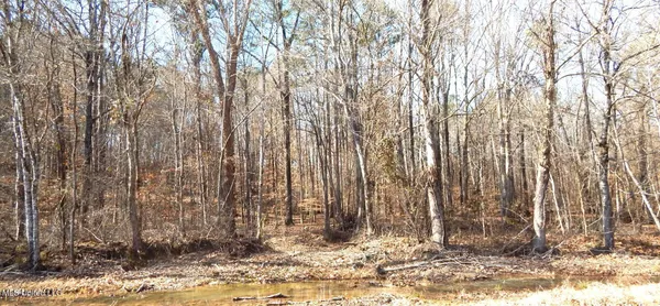$174,900 | 519 247th Road, Unit COUNTRY, Bruce, MS 38915