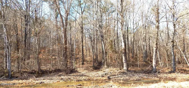 $174,900 | 519 247th Road, Unit COUNTRY, Bruce, MS 38915