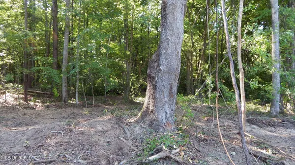 $174,900 | 519 247th Road, Unit COUNTRY, Bruce, MS 38915