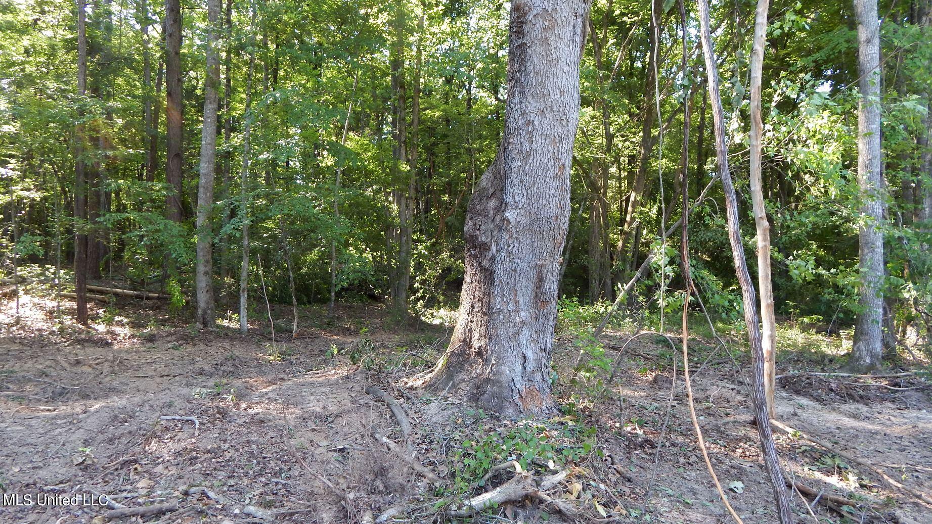 519 247th Road, Unit COUNTRY Bruce, MS 38915 - Photo 30 of 47 DSCN5227