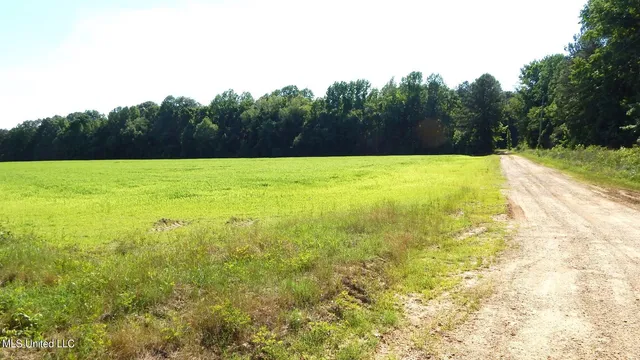 $174,900 | 519 247th Road, Unit COUNTRY, Bruce, MS 38915