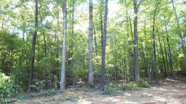 $174,900 | 519 247th Road, Unit COUNTRY, Bruce, MS 38915