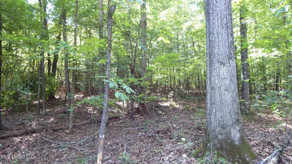$174,900 | 519 247th Road, Unit COUNTRY, Bruce, MS 38915