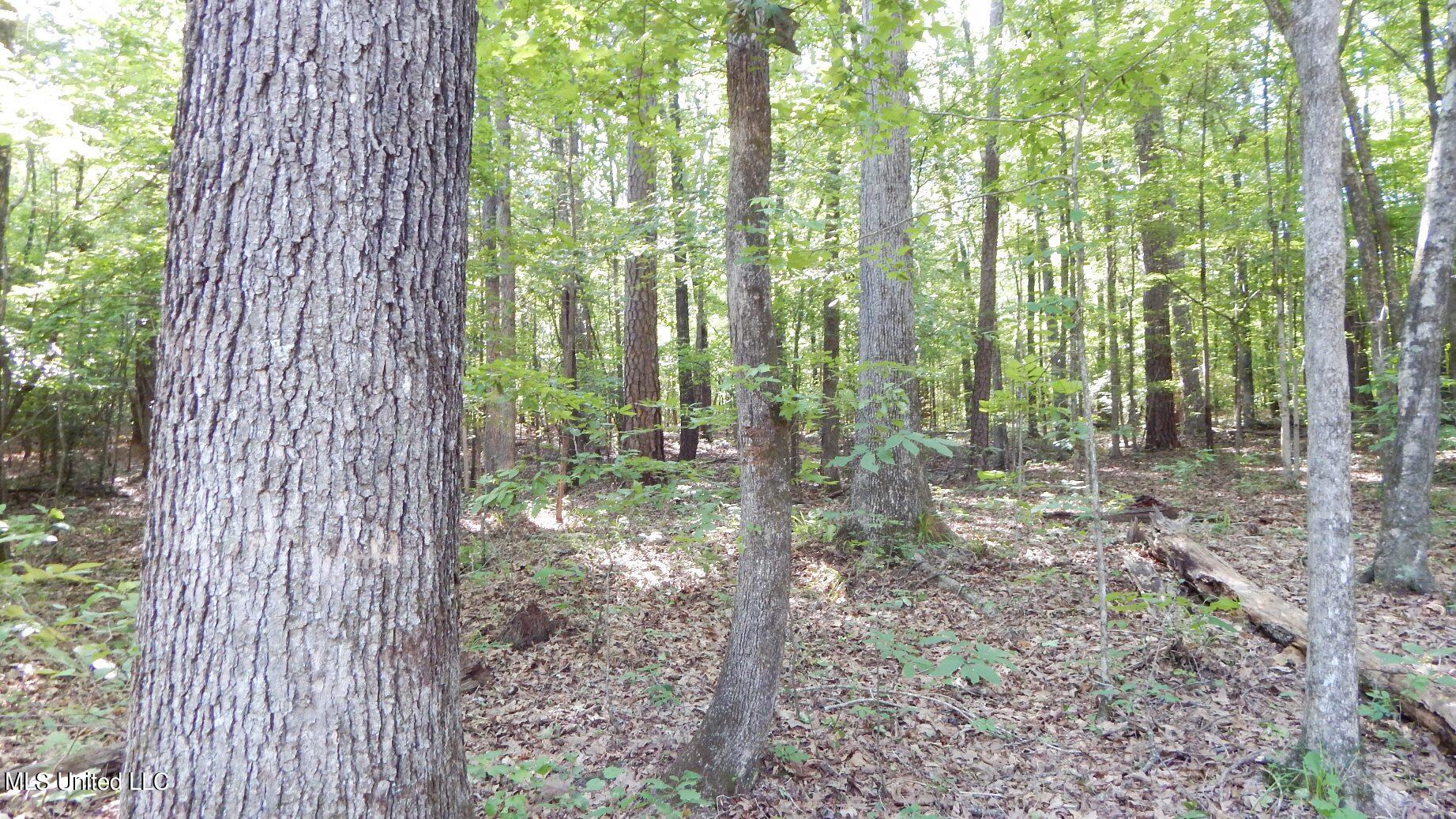 519 247th Road, Unit COUNTRY Bruce, MS 38915 - Photo 34 of 47 DSCN5230