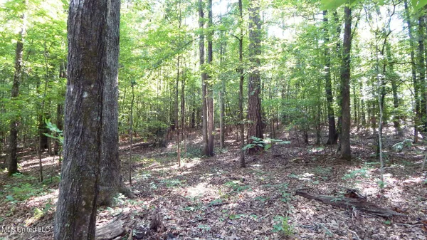 $174,900 | 519 247th Road, Unit COUNTRY, Bruce, MS 38915