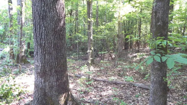 $174,900 | 519 247th Road, Unit COUNTRY, Bruce, MS 38915