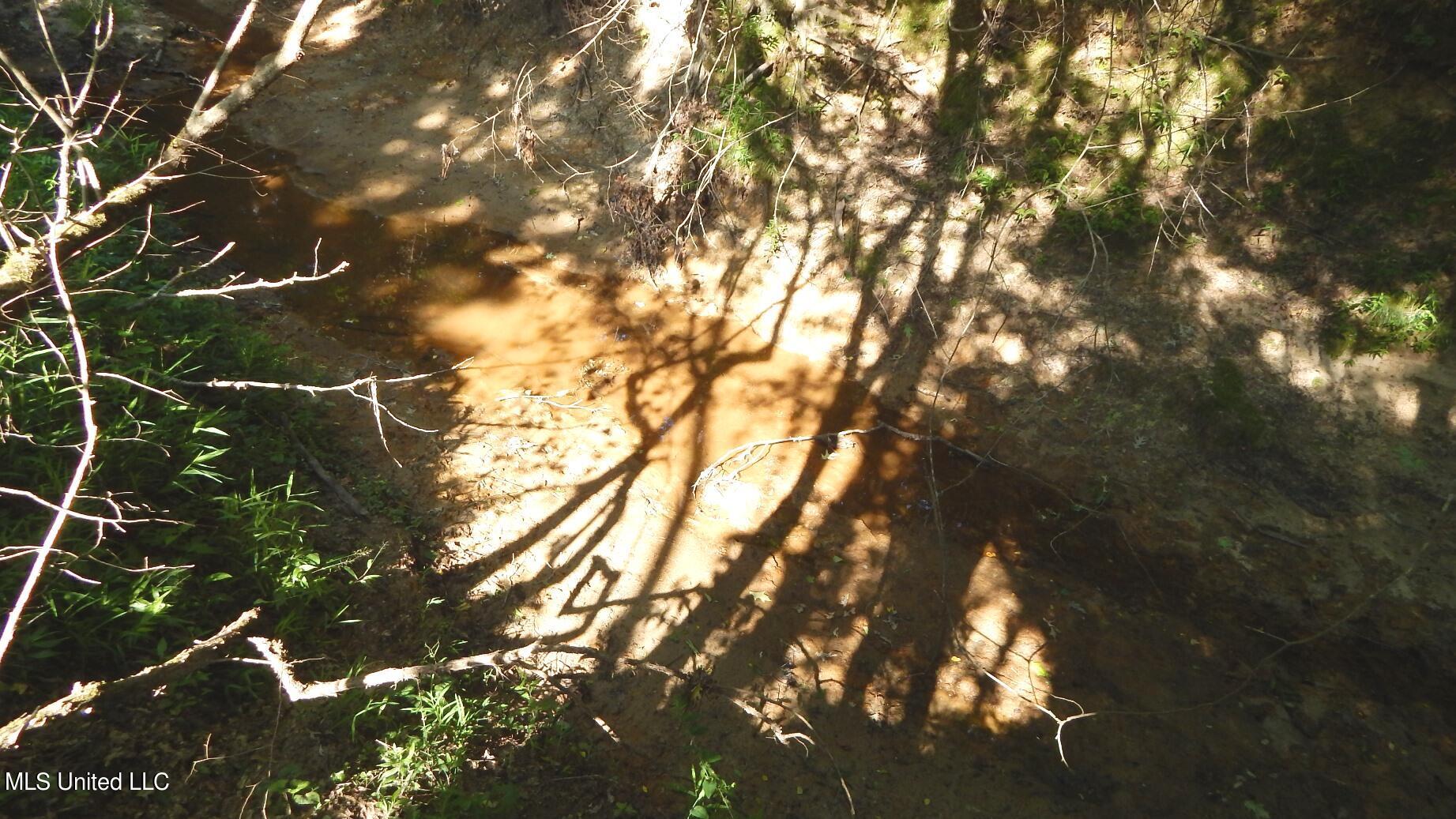 519 247th Road, Unit COUNTRY Bruce, MS 38915 - Photo 37 of 47 DSCN5239