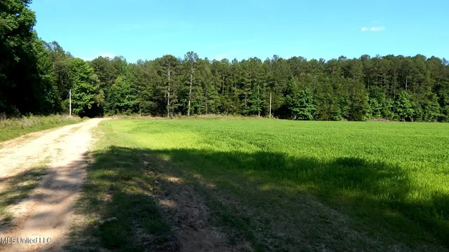 $174,900 | 519 247th Road, Unit COUNTRY, Bruce, MS 38915