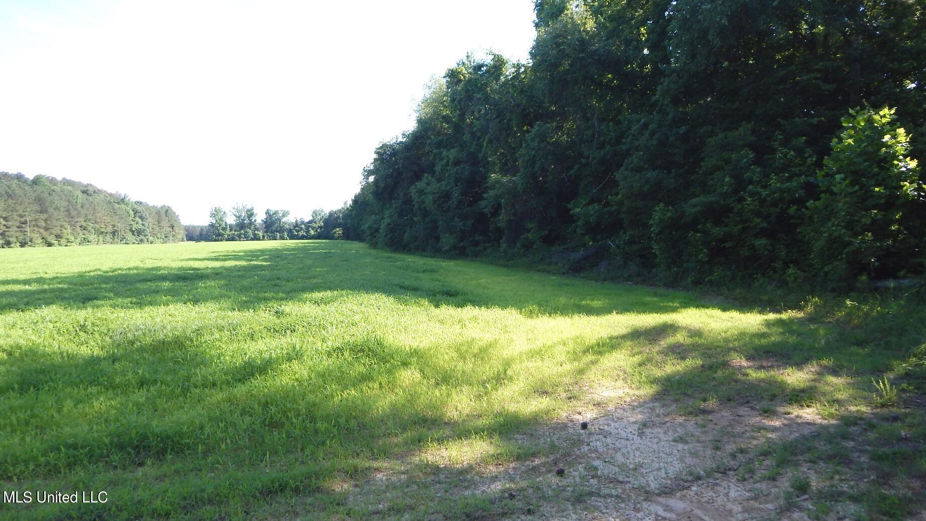 519 247th Road, Unit COUNTRY Bruce, MS 38915 - Photo 40 of 47 DSCN5244