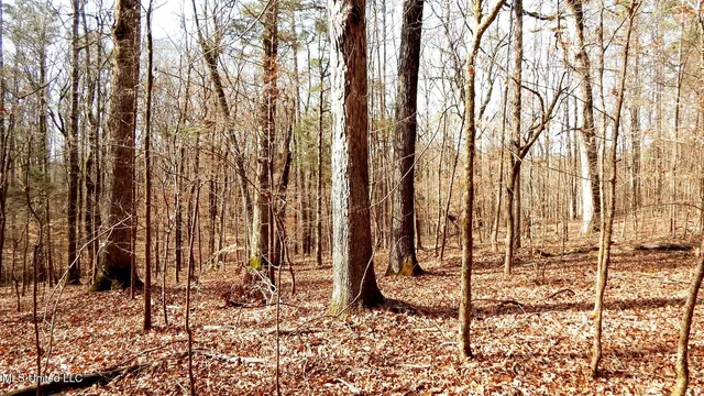 $174,900 | 519 247th Road, Unit COUNTRY, Bruce, MS 38915