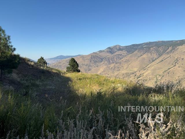 144 Chukar Road Pollock, ID 83547 - Photo 9 of 9