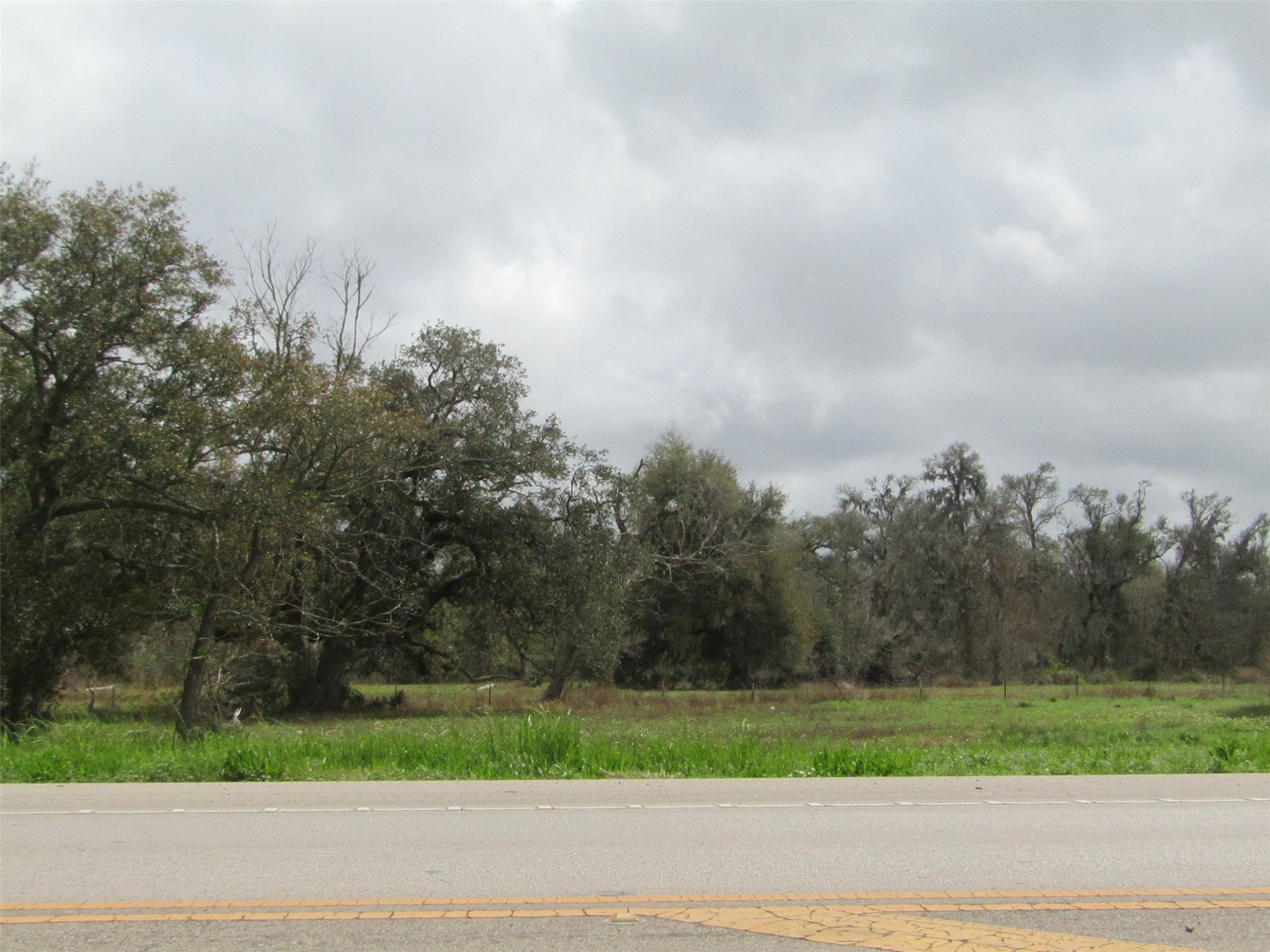 2481 FM 521 Road Brazoria, TX 77422 - Photo 1 of 9 a view of a yard