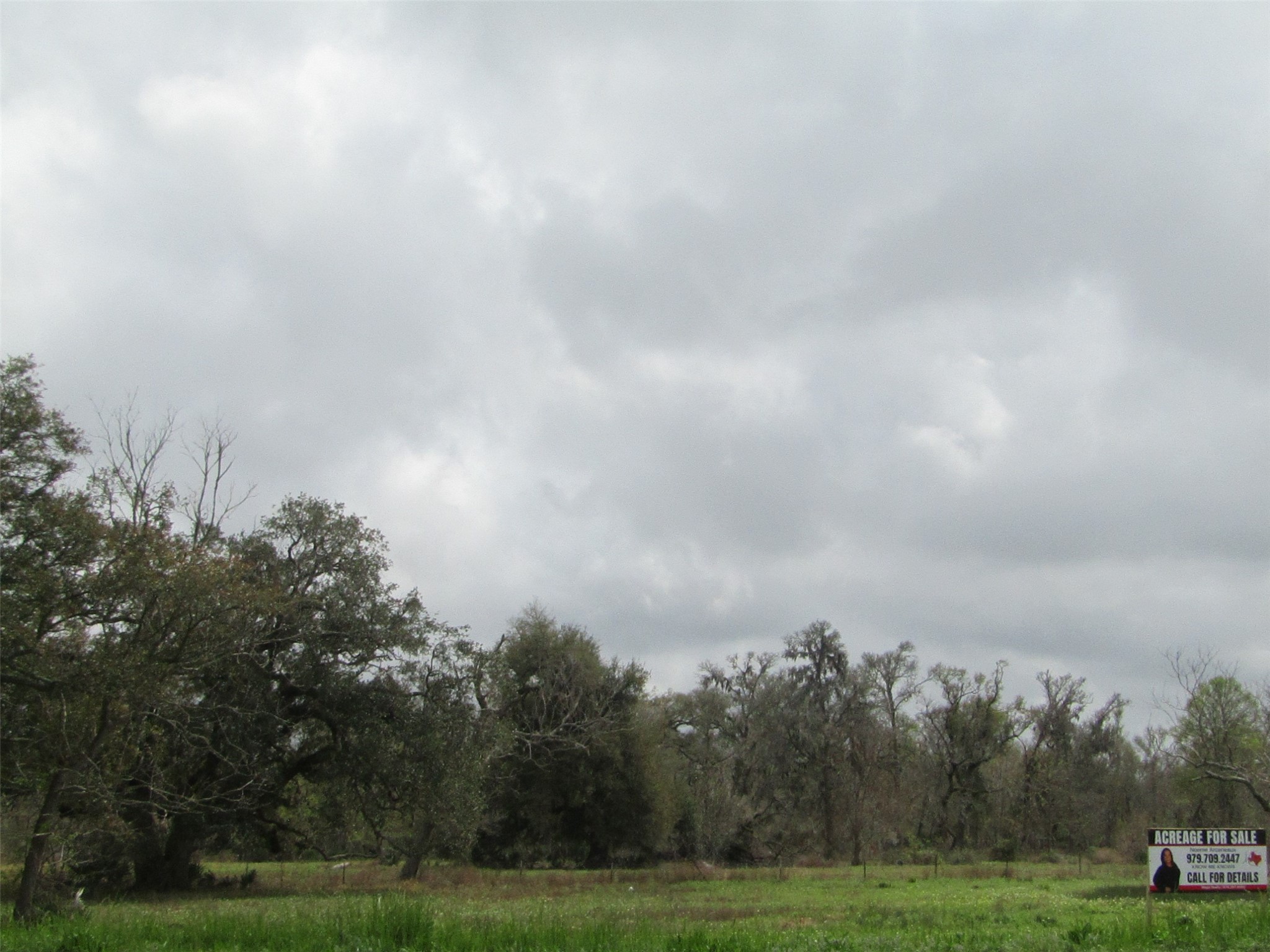 2481 FM 521 Road Brazoria, TX 77422 - Photo 2 of 9 a view of grassy field with trees