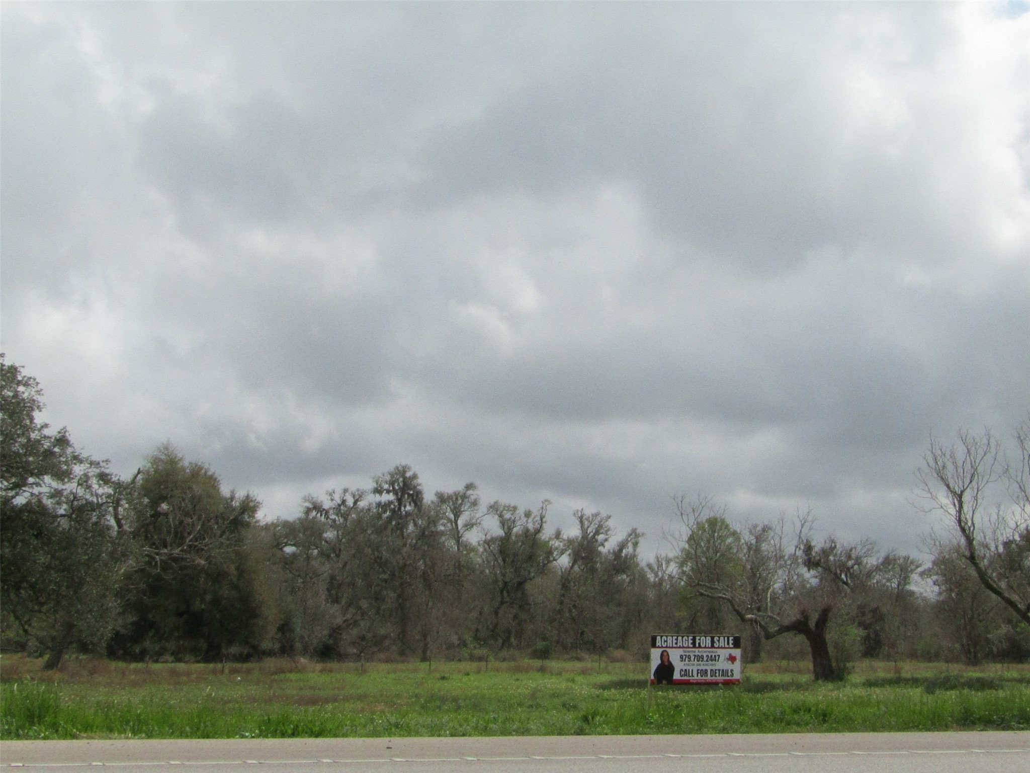 2481 FM 521 Road Brazoria, TX 77422 - Photo 3 of 9 a view of a big yard of grass and trees